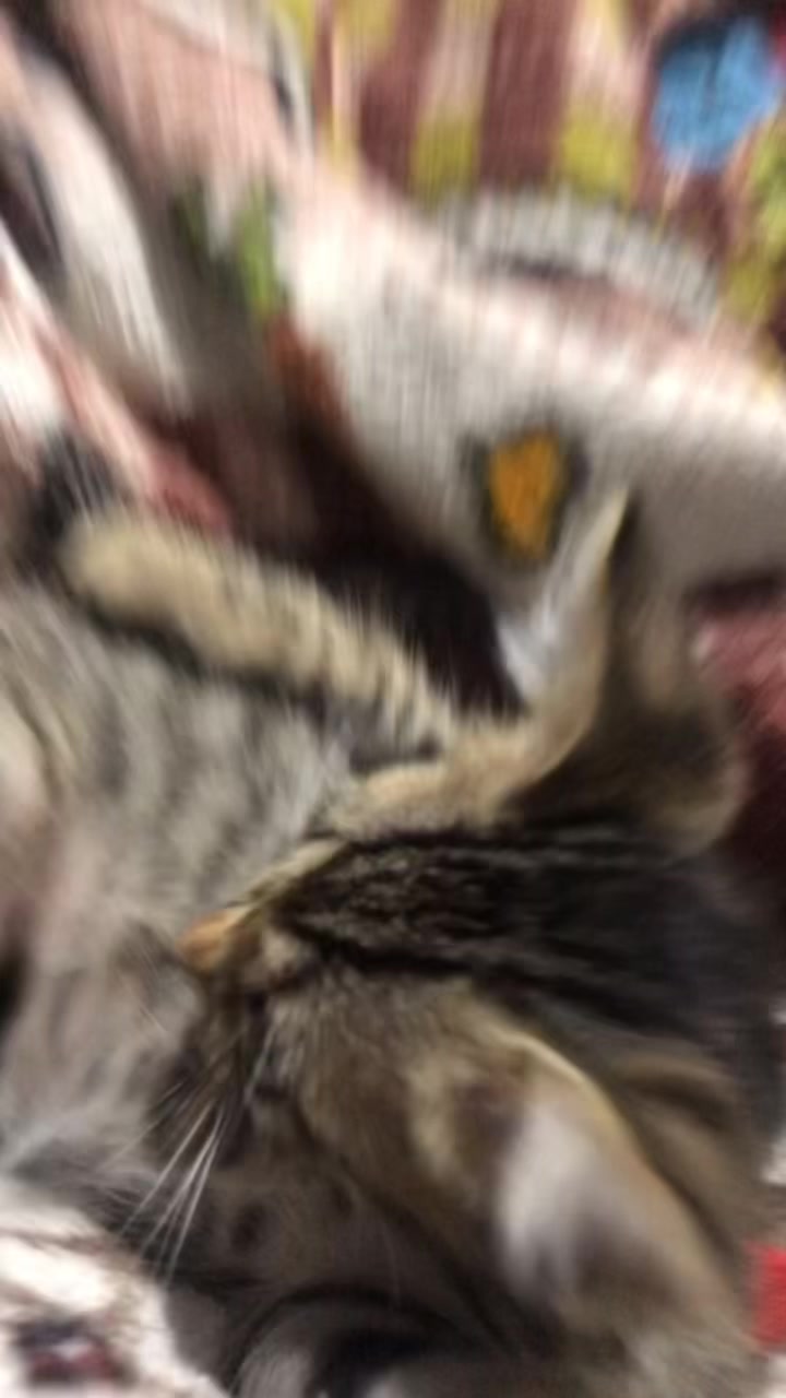@𝒦𝒶𝓇𝒾ᥫ᭡