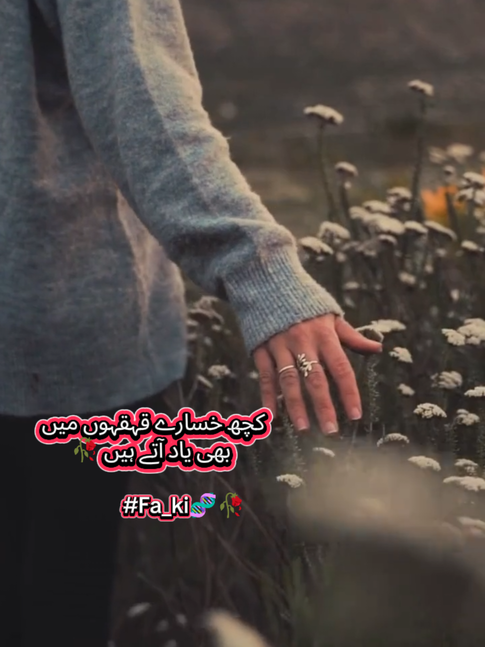 @نورین فخرچوہدری