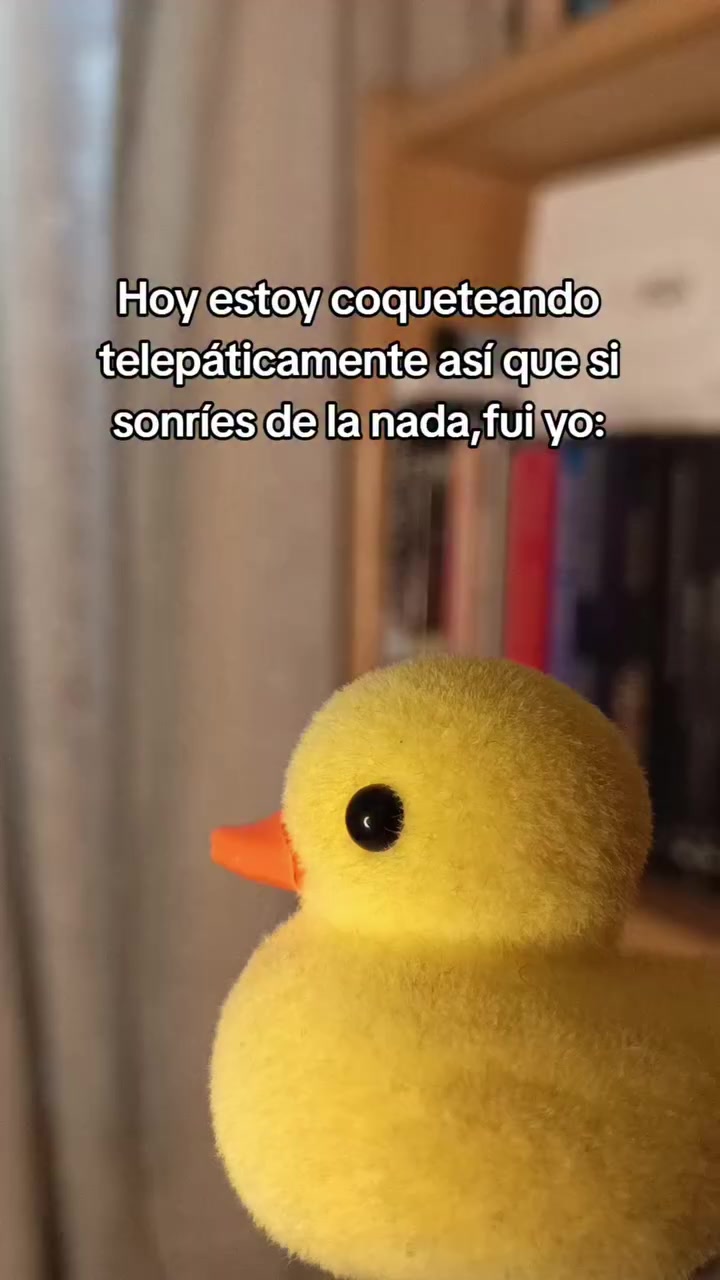 @Sara Garcia