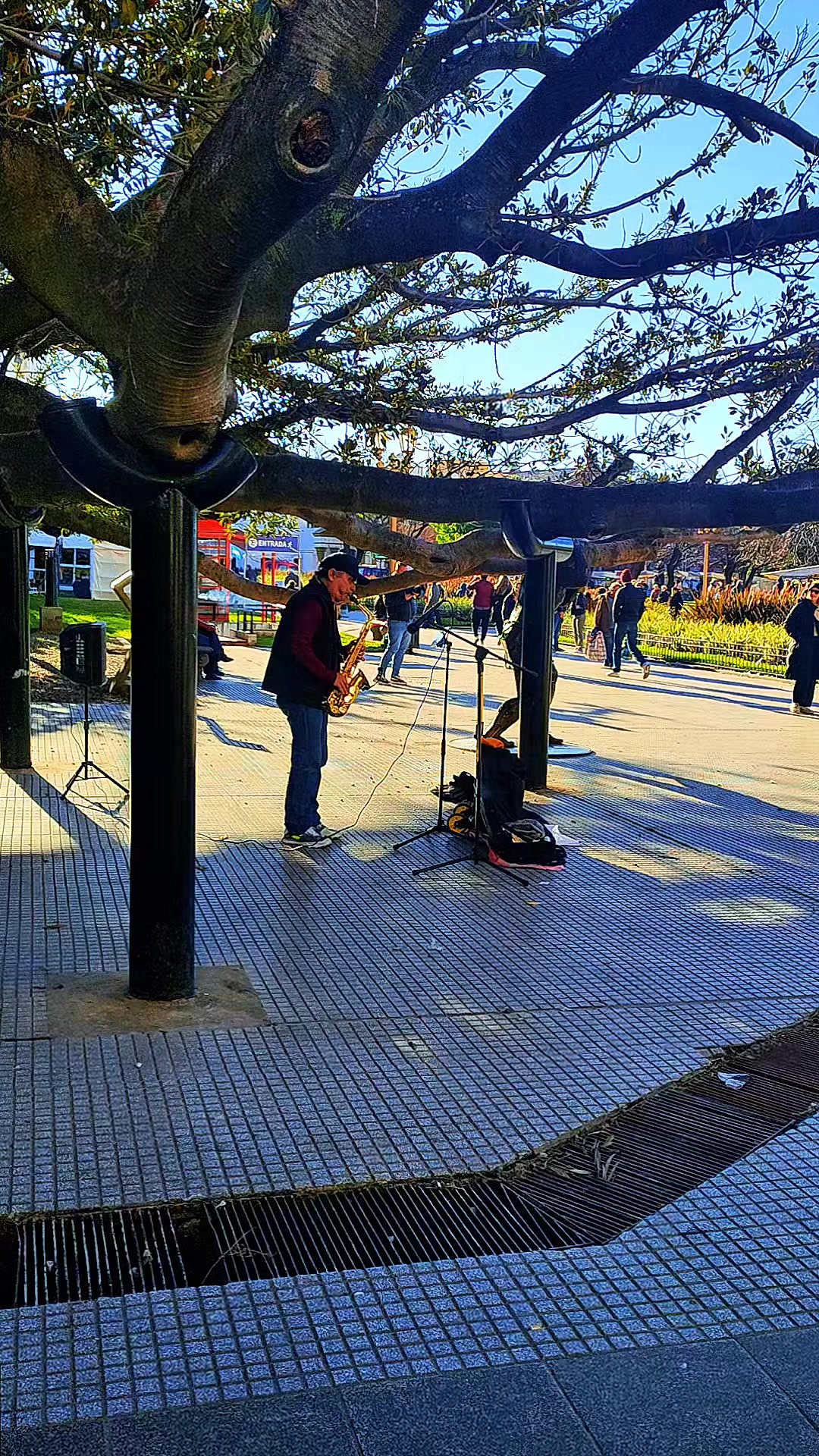 @videosimpactantes
