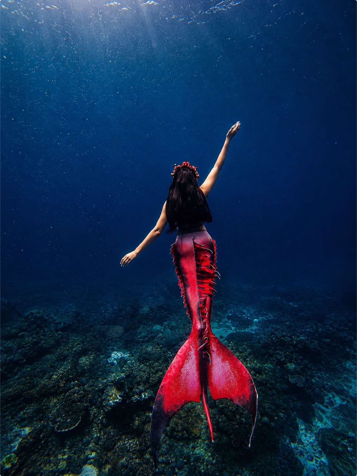 @Mermaid Moniq🧜🏻♀️🪸