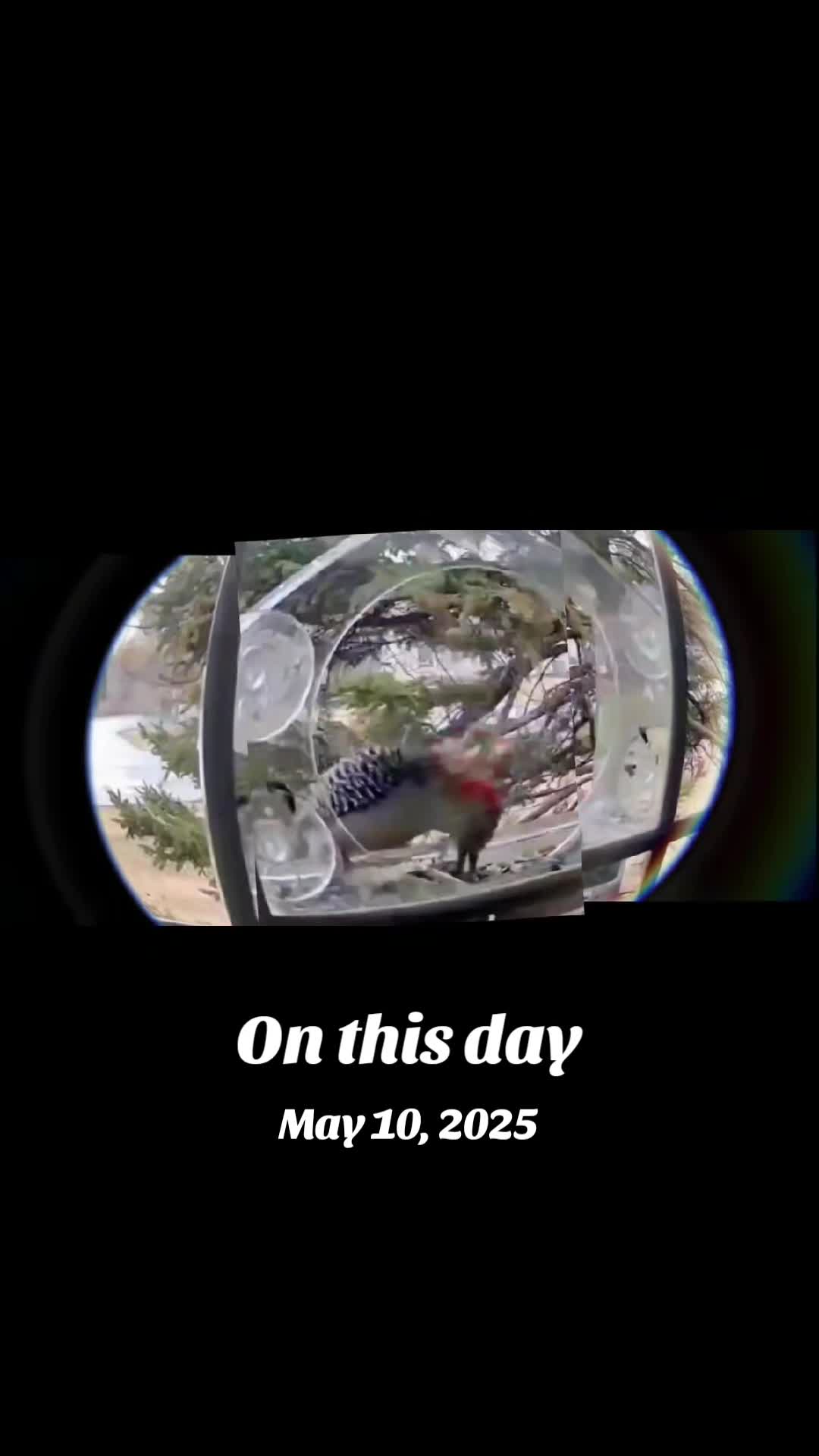 @🇵🇬PNG❤️&zwj;🔥4️⃣2️⃣0️⃣