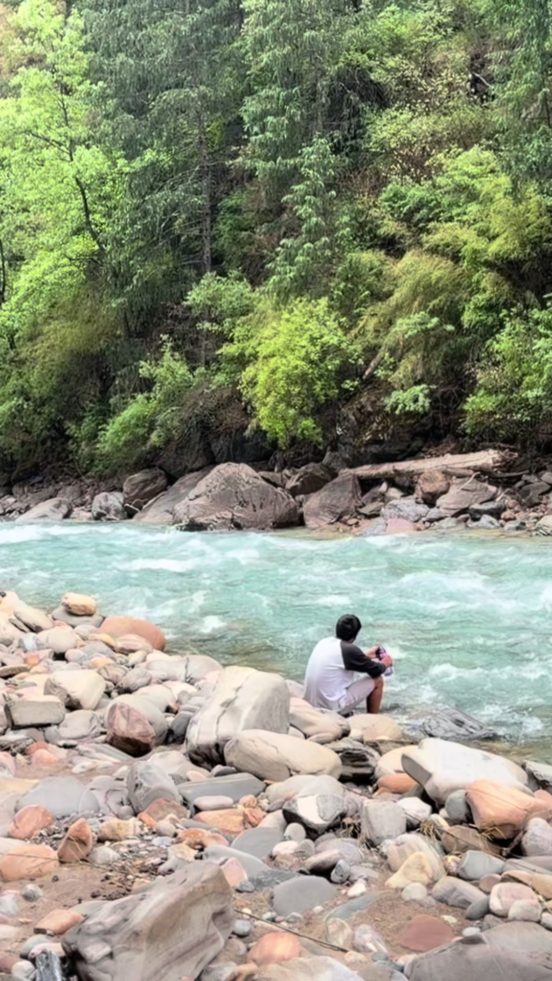 @𝑺𝒕𝒂𝒍𝒊𝒏𝒂 ✅️🇳🇵