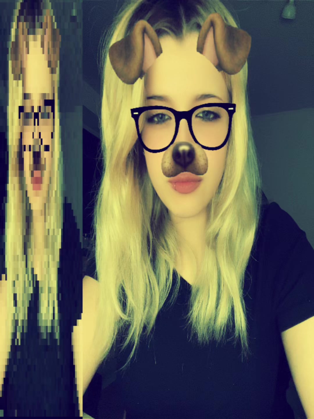 @koshka