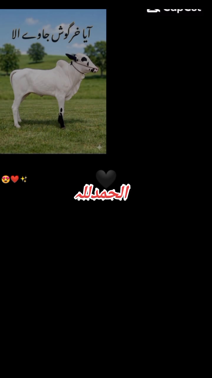 @چوہدری حماد