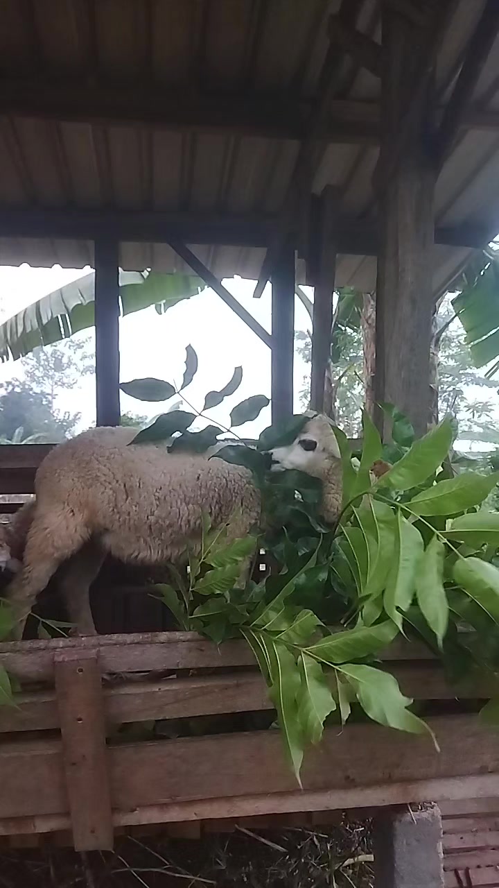 @I'm A Farmer