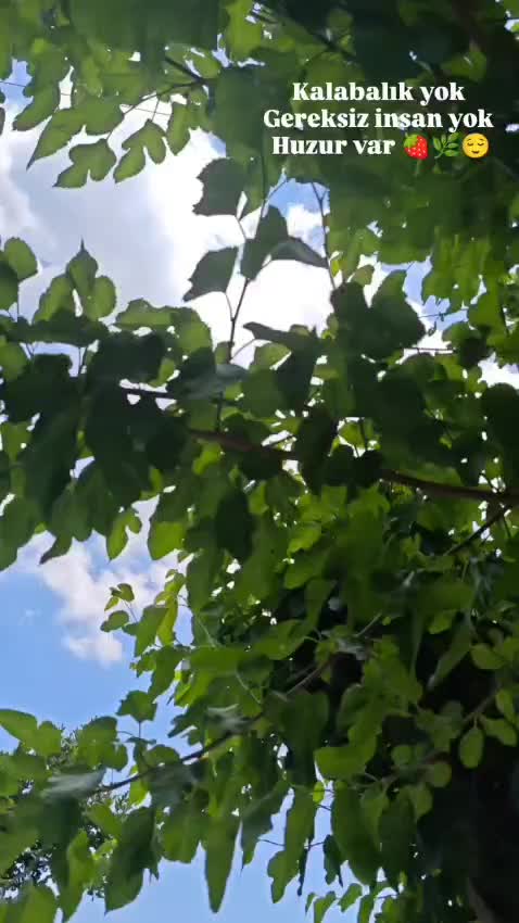 @CEYHAN AKGÜL İLETİŞİM