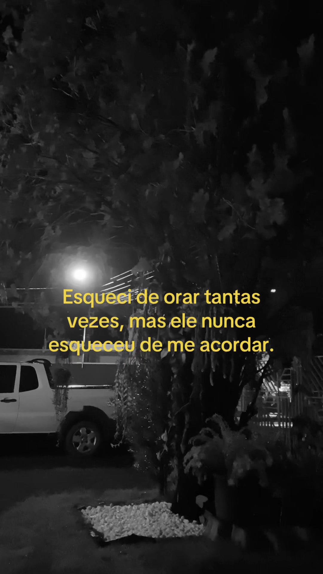 @central_dasfrases