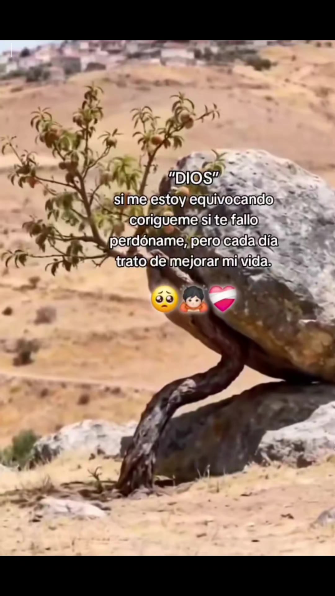 @\RAFA/  :suar: