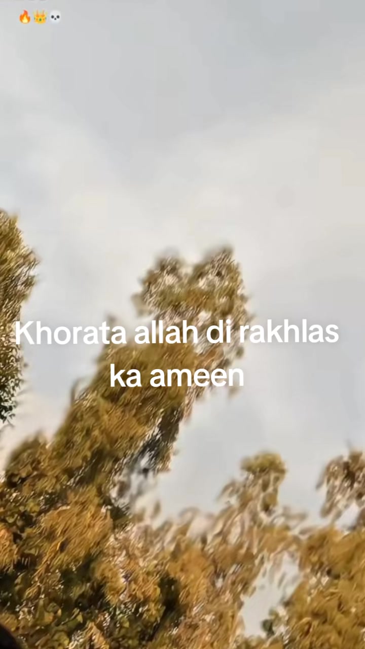 @siddique