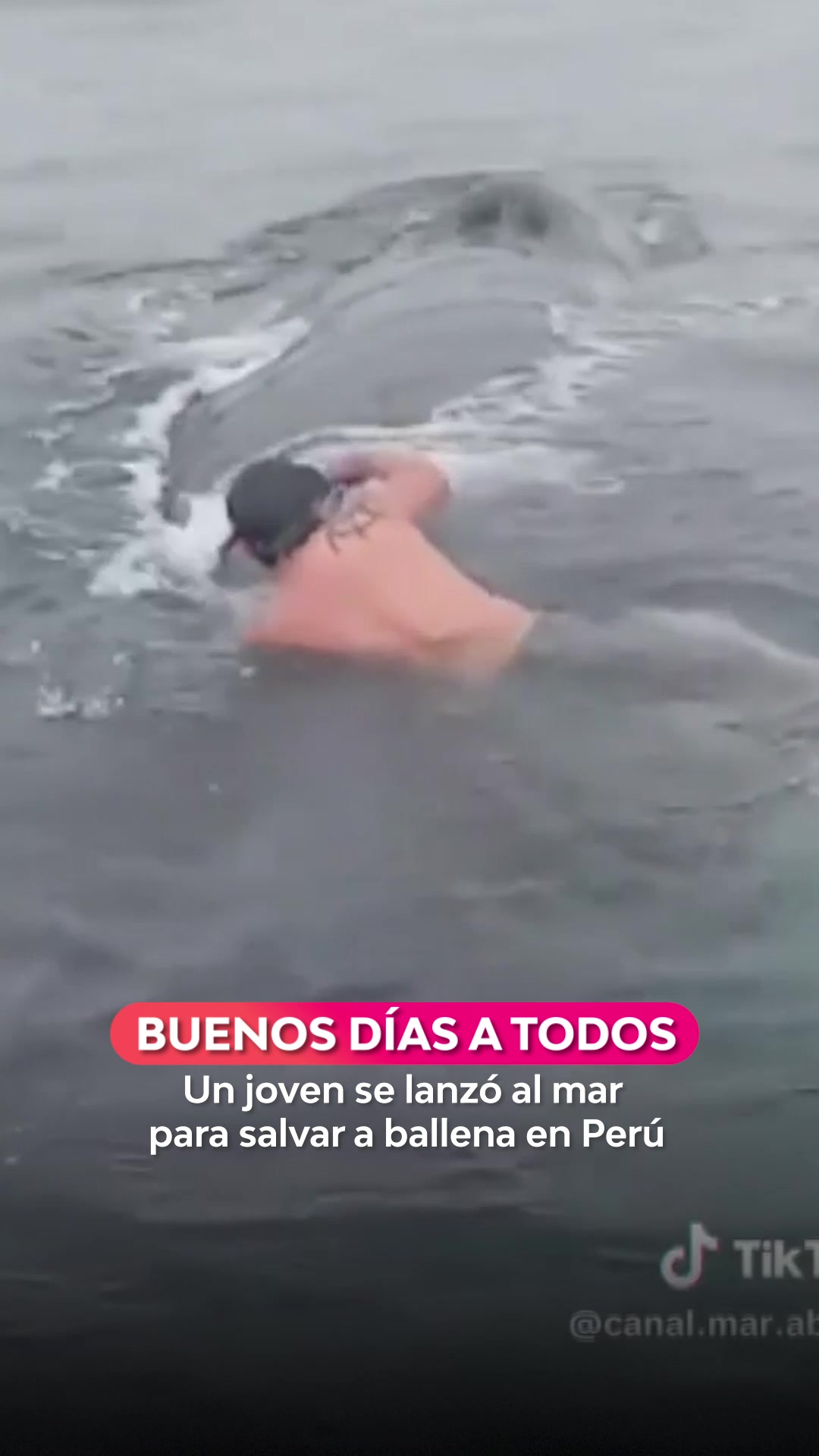 @Televisión Nacional de Chile