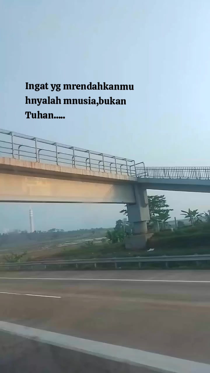@Ponakan CEO