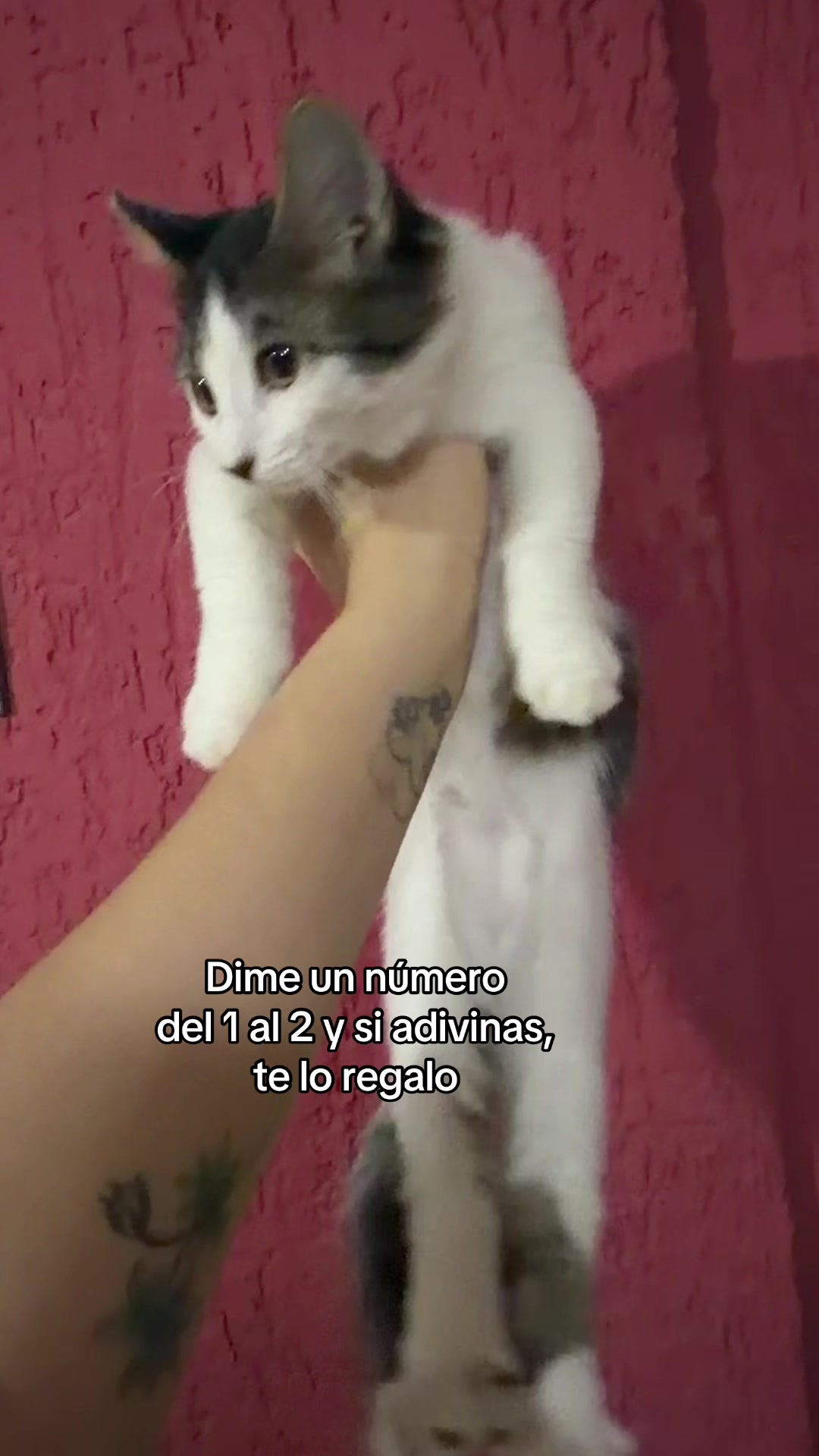 @María Betania