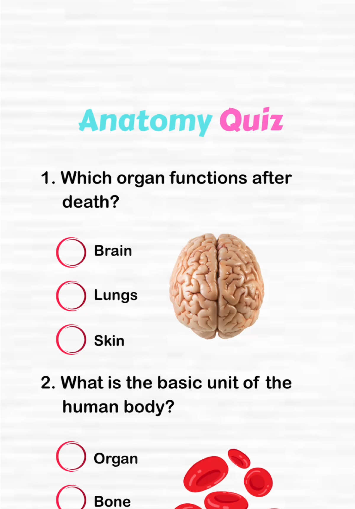 @QuizSpot Official