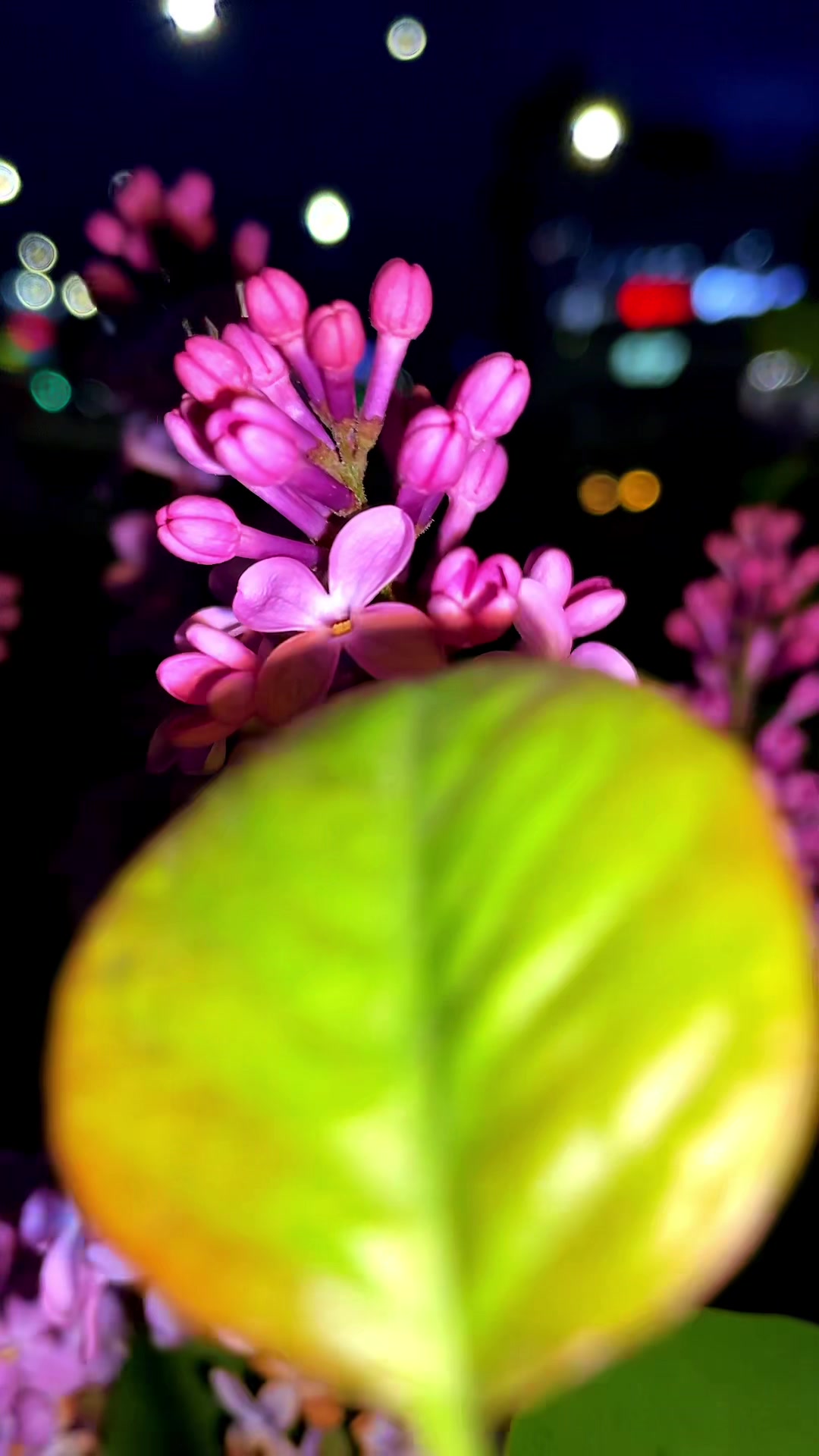 @🌸АнютаЯ🌸
