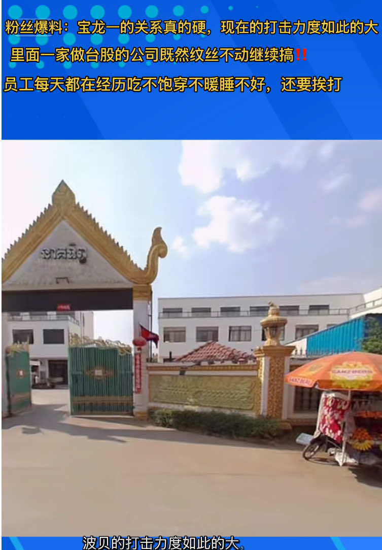 @东南亚华人大事件-小嘉