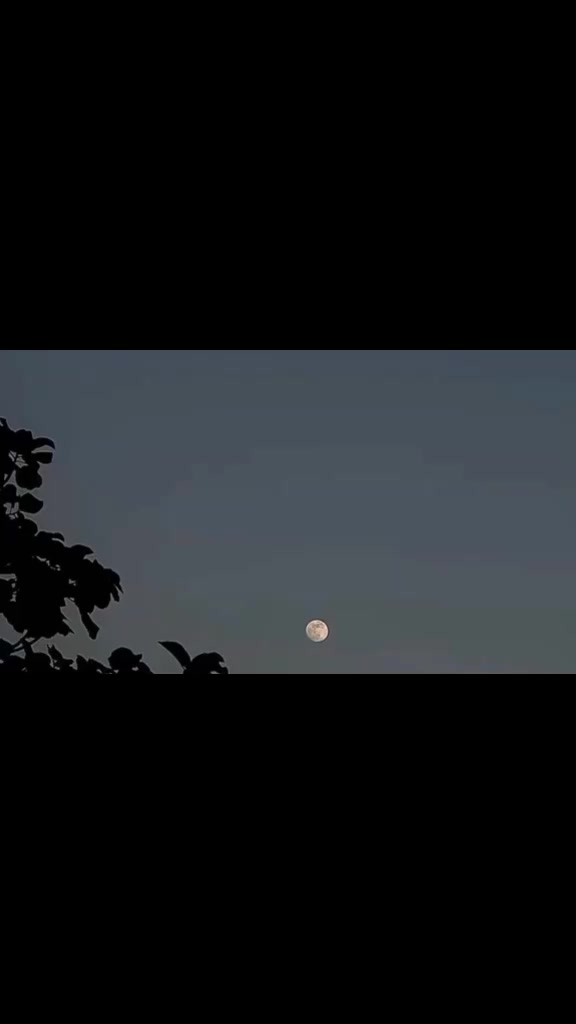 @{𝐀𝐋𝐢}°𝐒𝐮𝐥𝐭𝐚𝐧 𝐨𝐅𝐅⛎