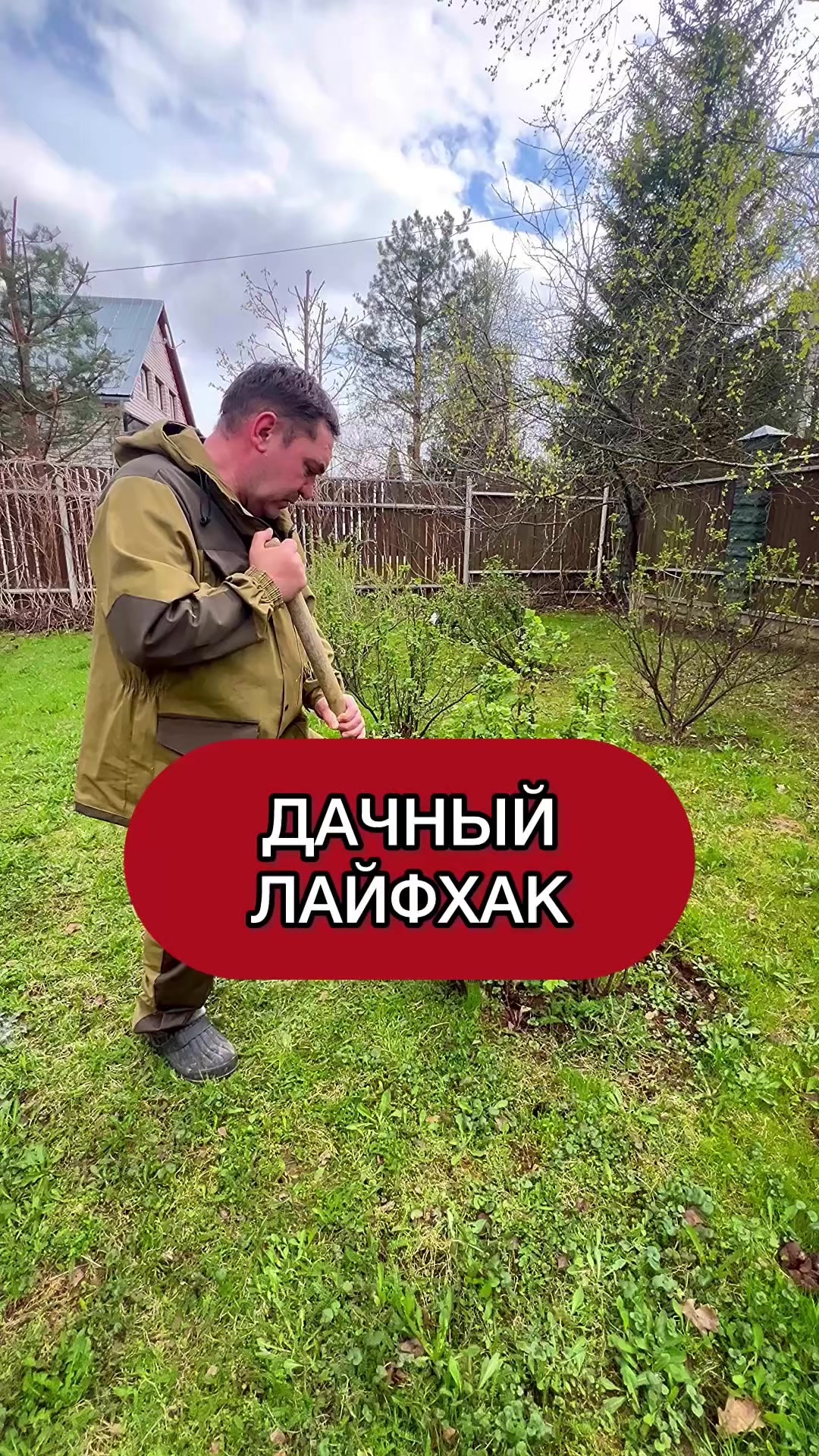 @dom_rustaevy