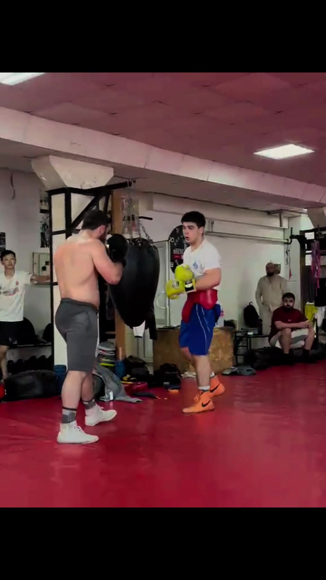 @МЕДОЕД👊🏼