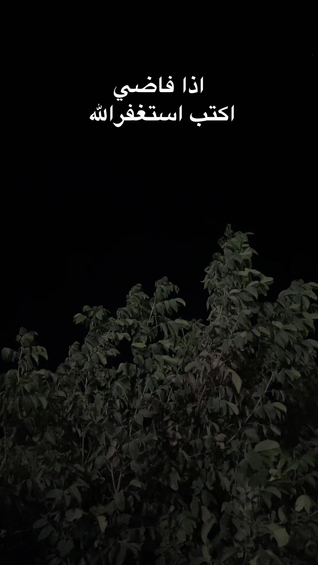 @هيـــّــآف 𓃚