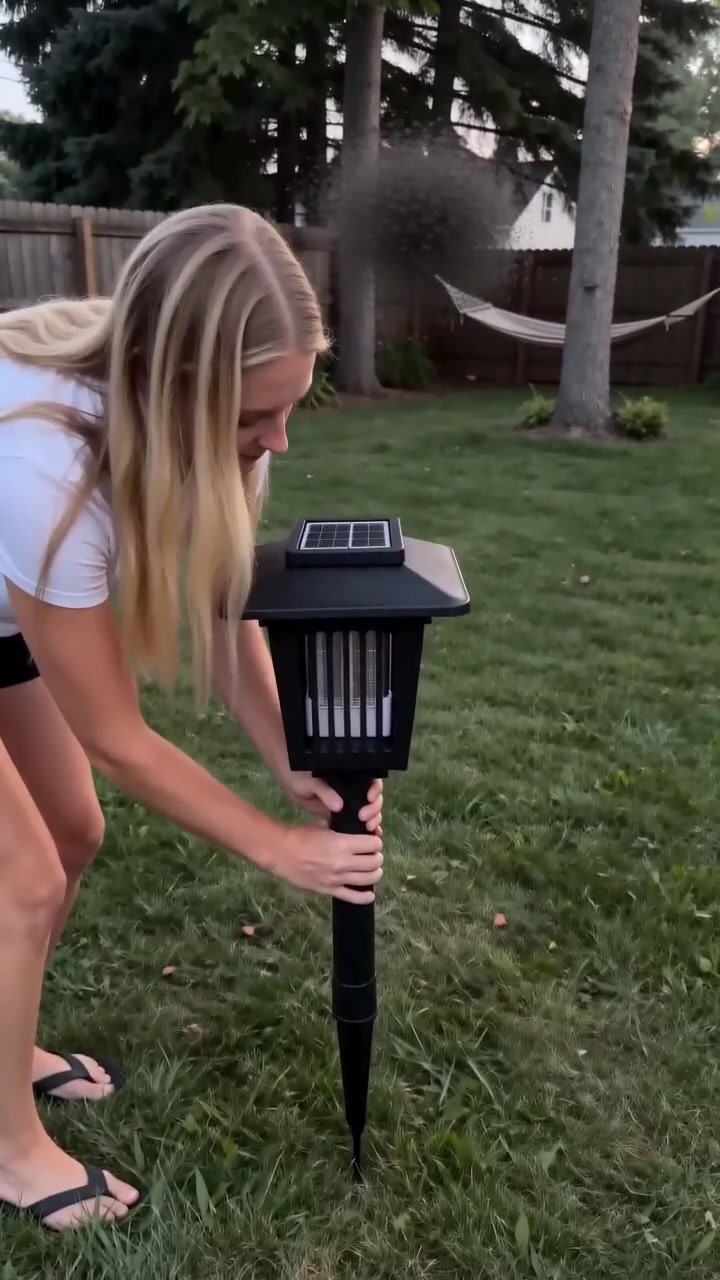 @Molly3