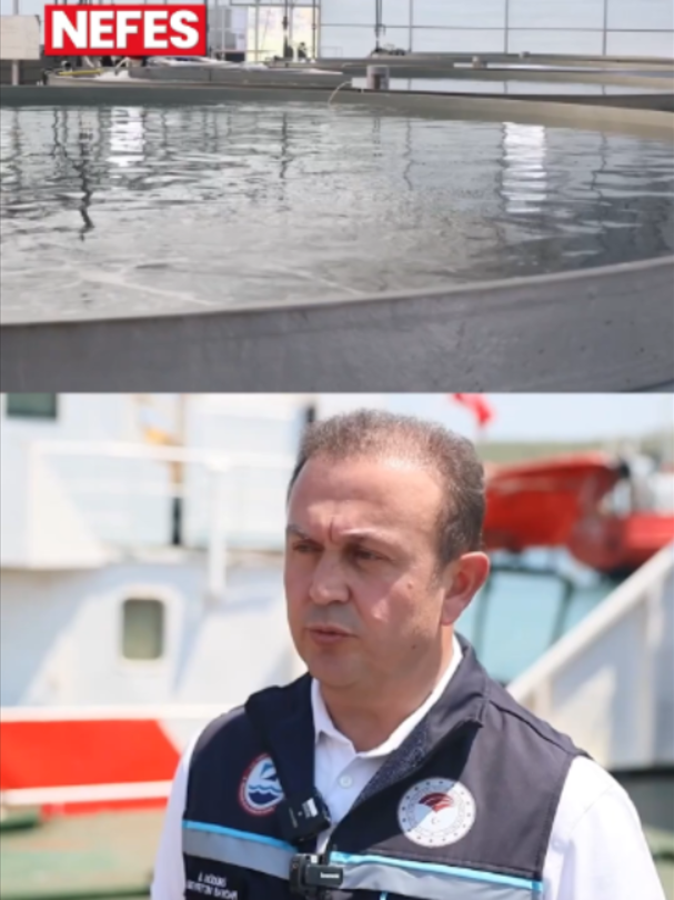 @Nefes Gazetesi