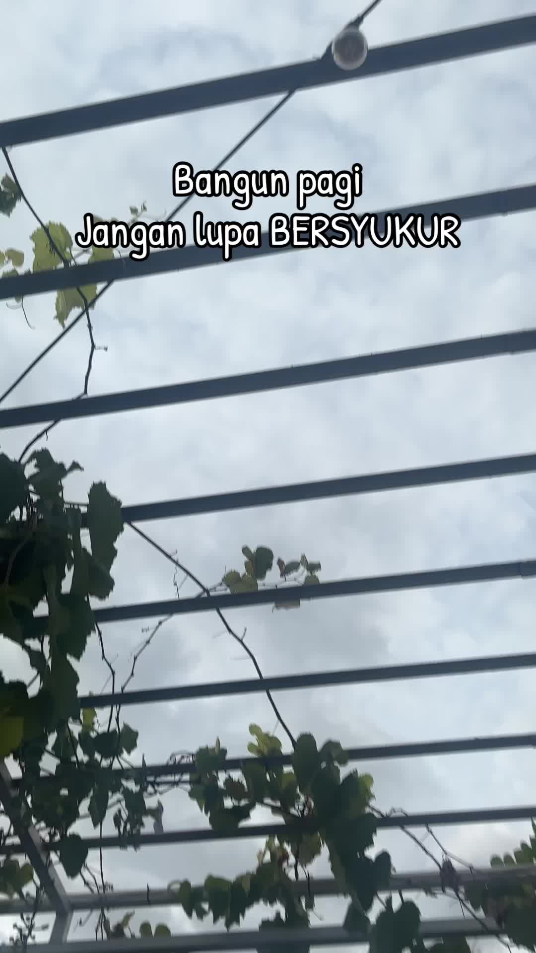 @Dh3ny