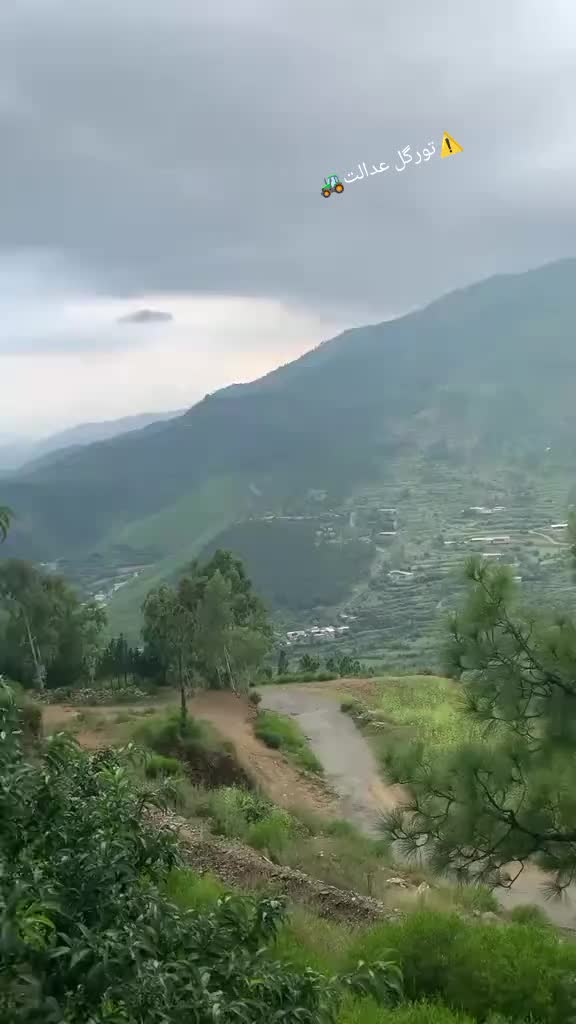 @تورگل