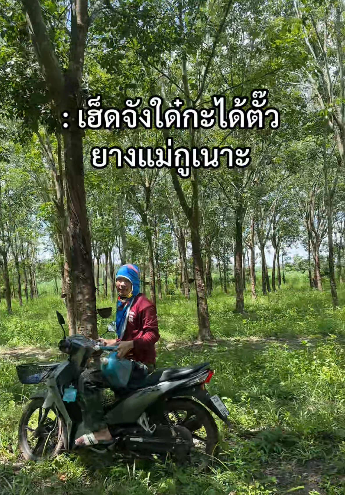 @'ไนท์' โร ริ เกรช 🏳️&zwj;🌈