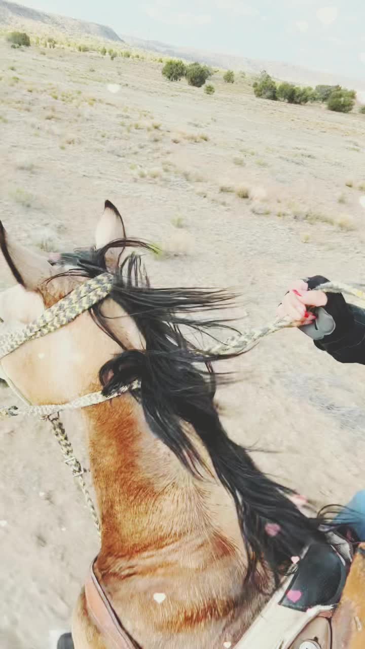 @RezMaiden