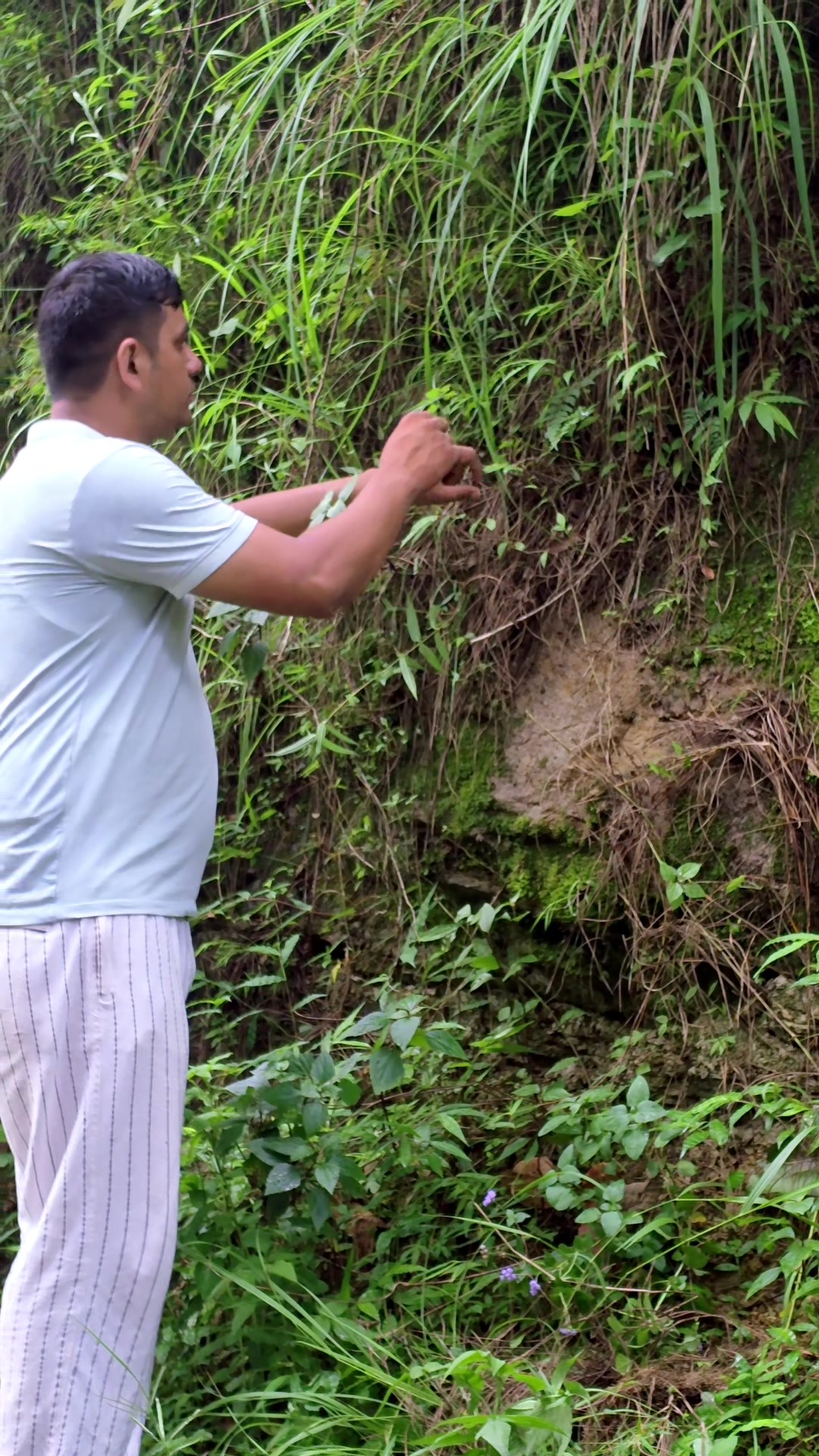 @Pushkar Malla thakuri