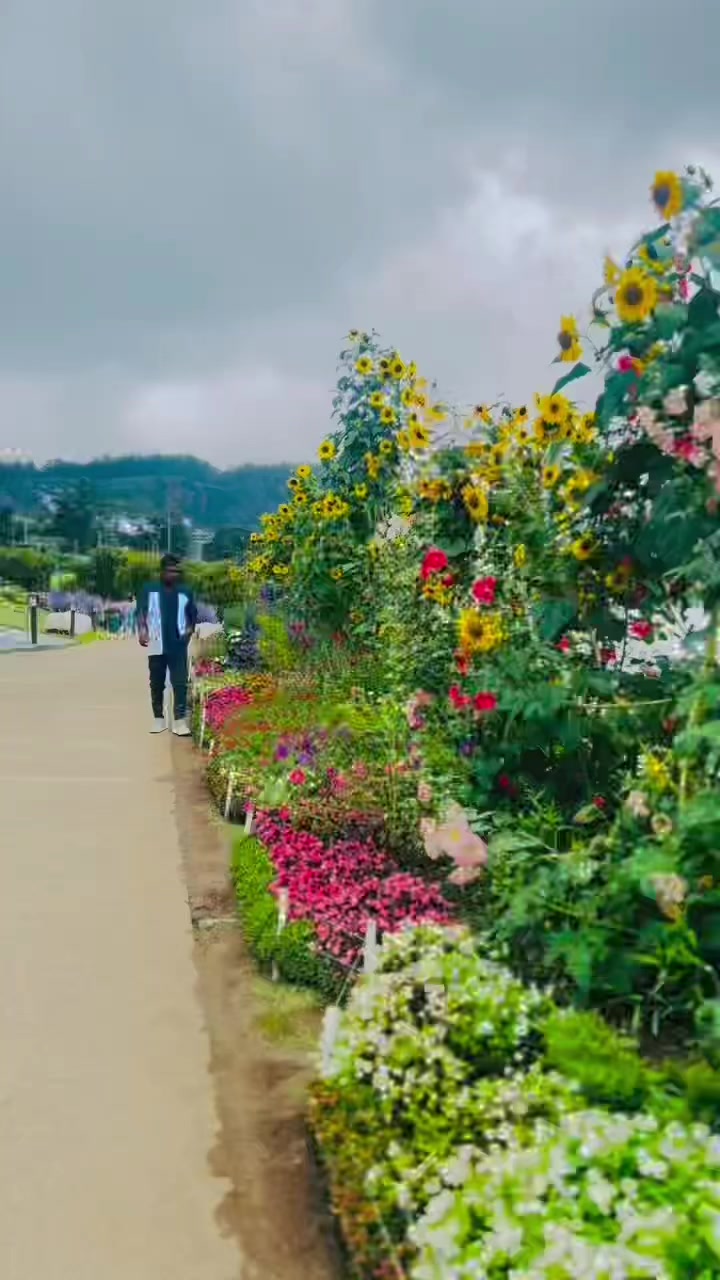 @🦋🌍ℝ𝕠𝕙𝕚𝕥 T𝕙𝕒𝕟𝕒𝕟 🕊🍁