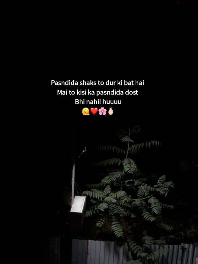 @Z A Y A N ⋆