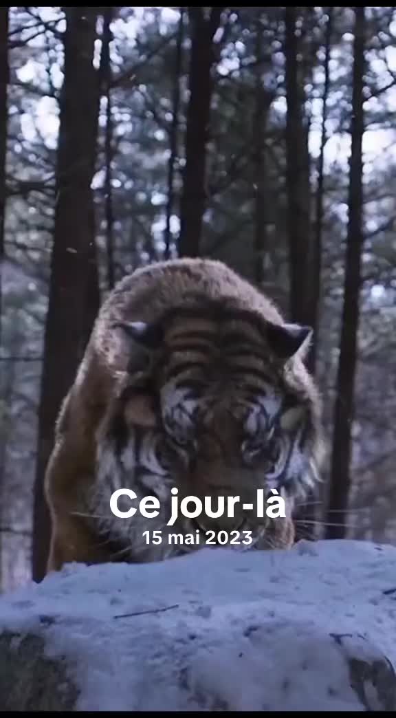 @Le québécois coach