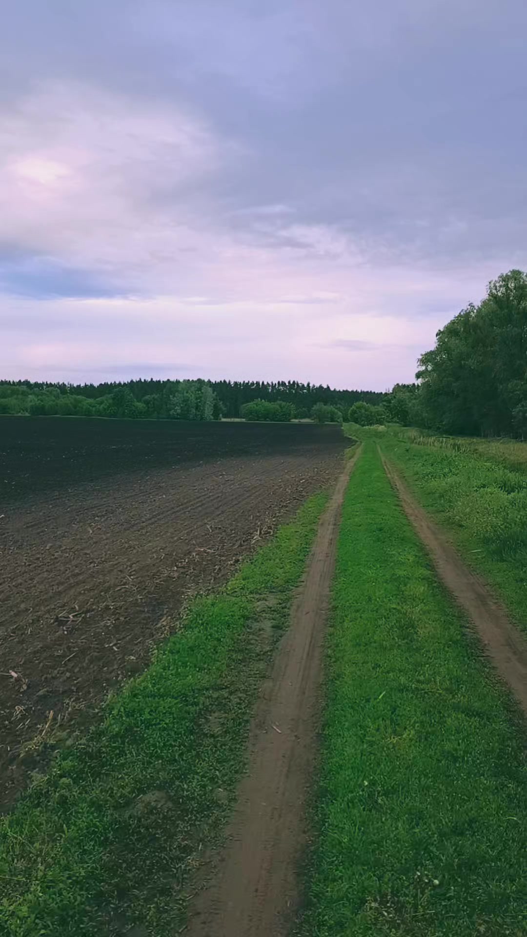 @ксюшик💙💛