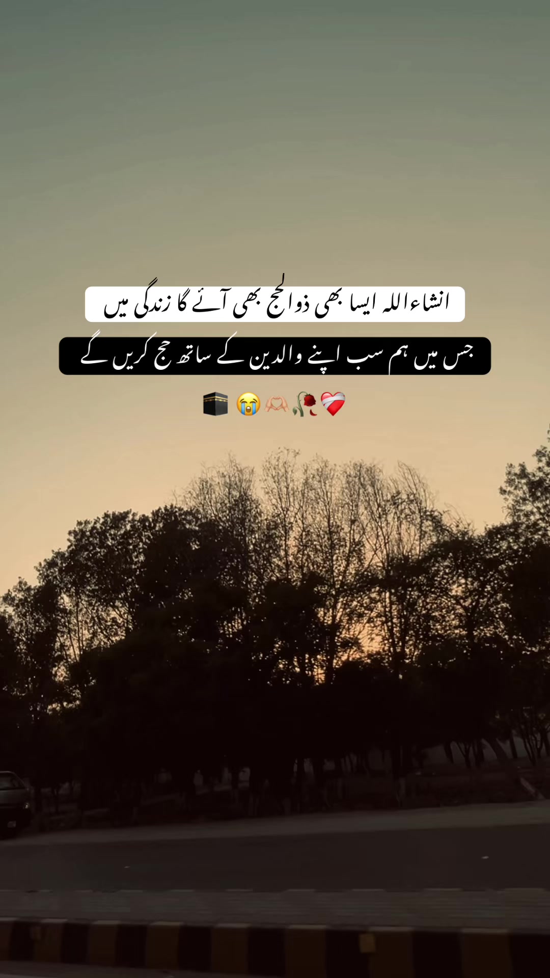 @𝘏 𝘈 𝘕 𝘡 𝘈 𝘓 𝘈 🐼 ✓