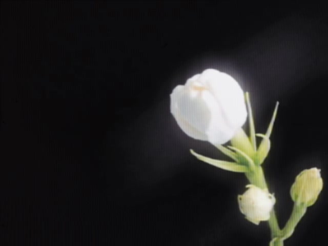 @꩜
