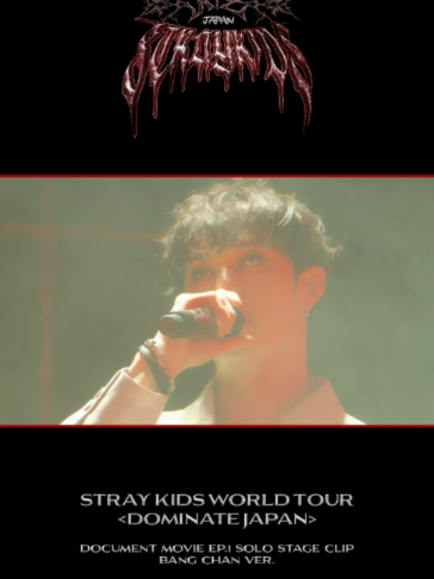 @straykids_japan