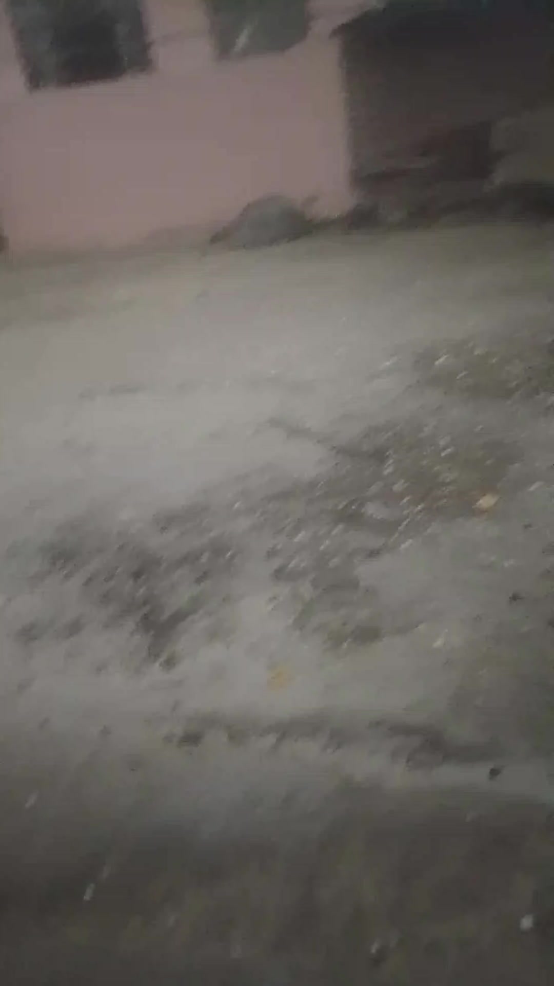 @Hridesh Gupta