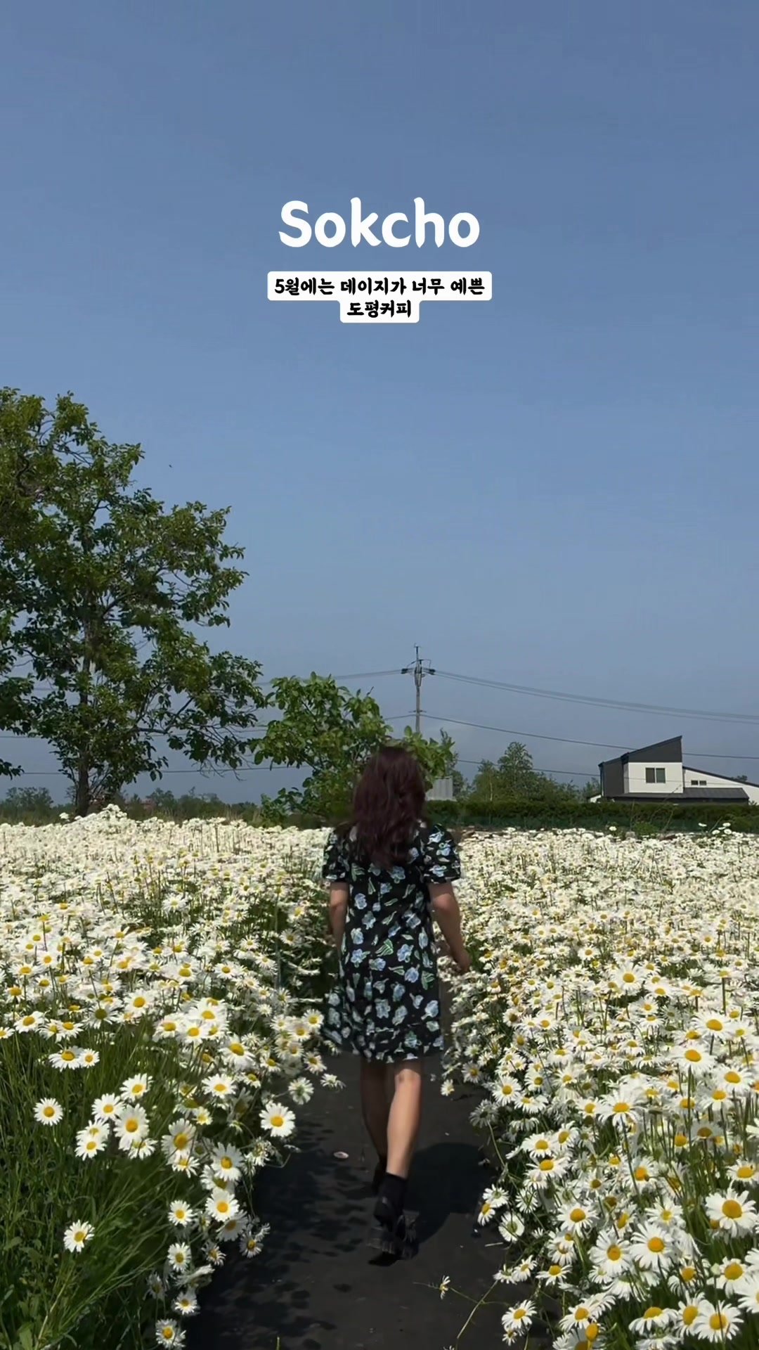 @yeon__pooh