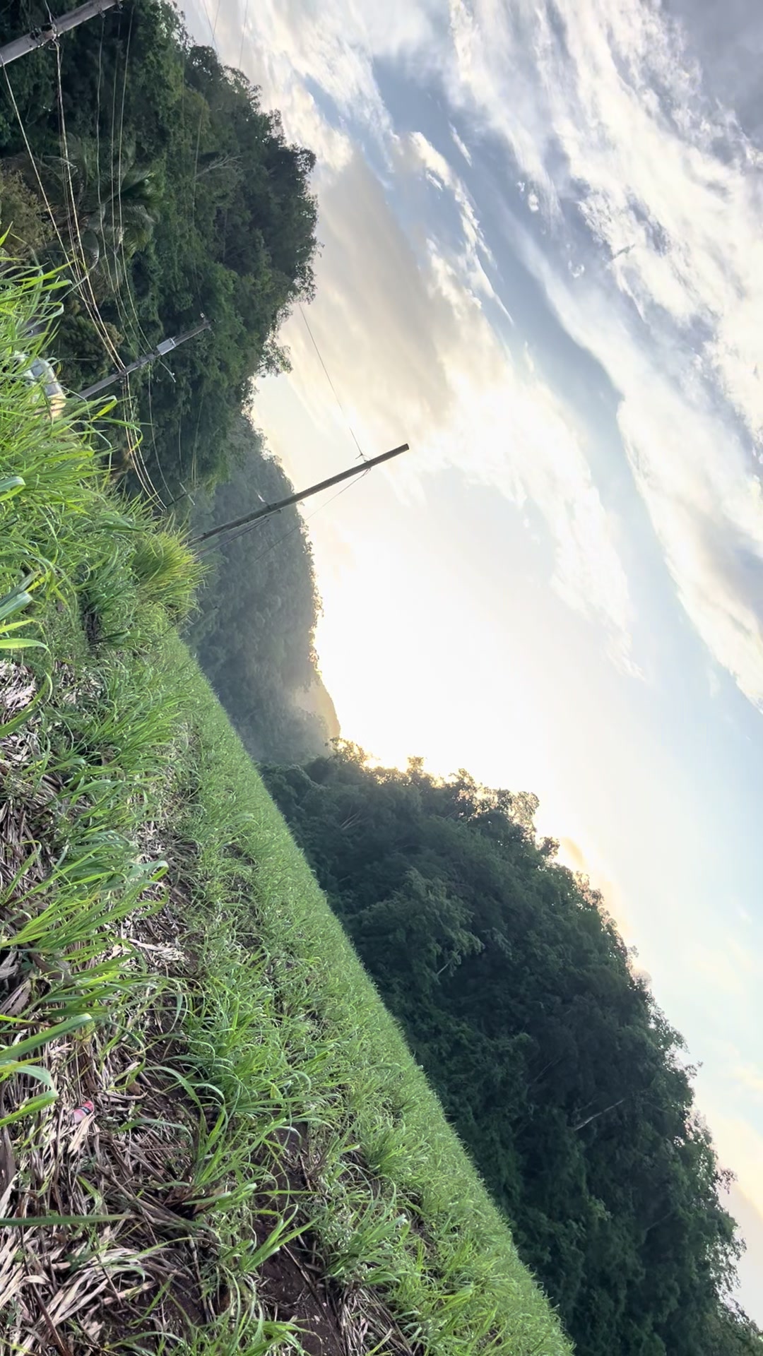 @CALI❤️🇯🇲