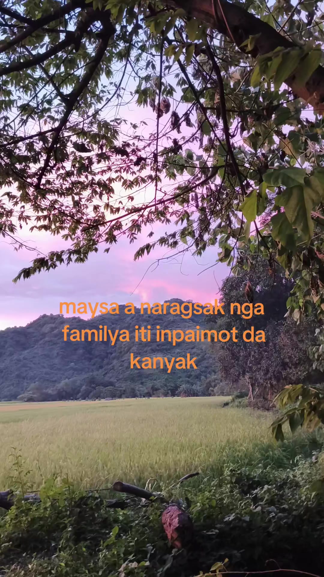 @cryss