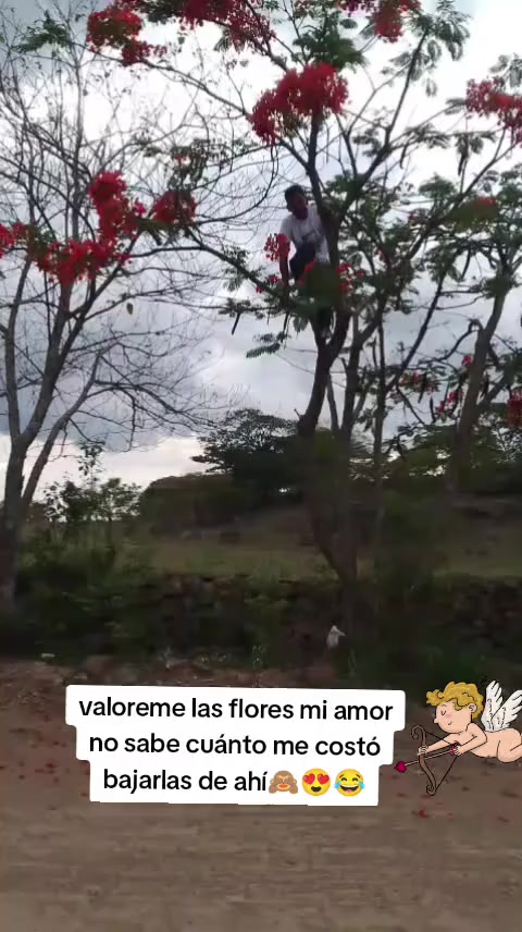 @Celin 0615🇭🇳🫶