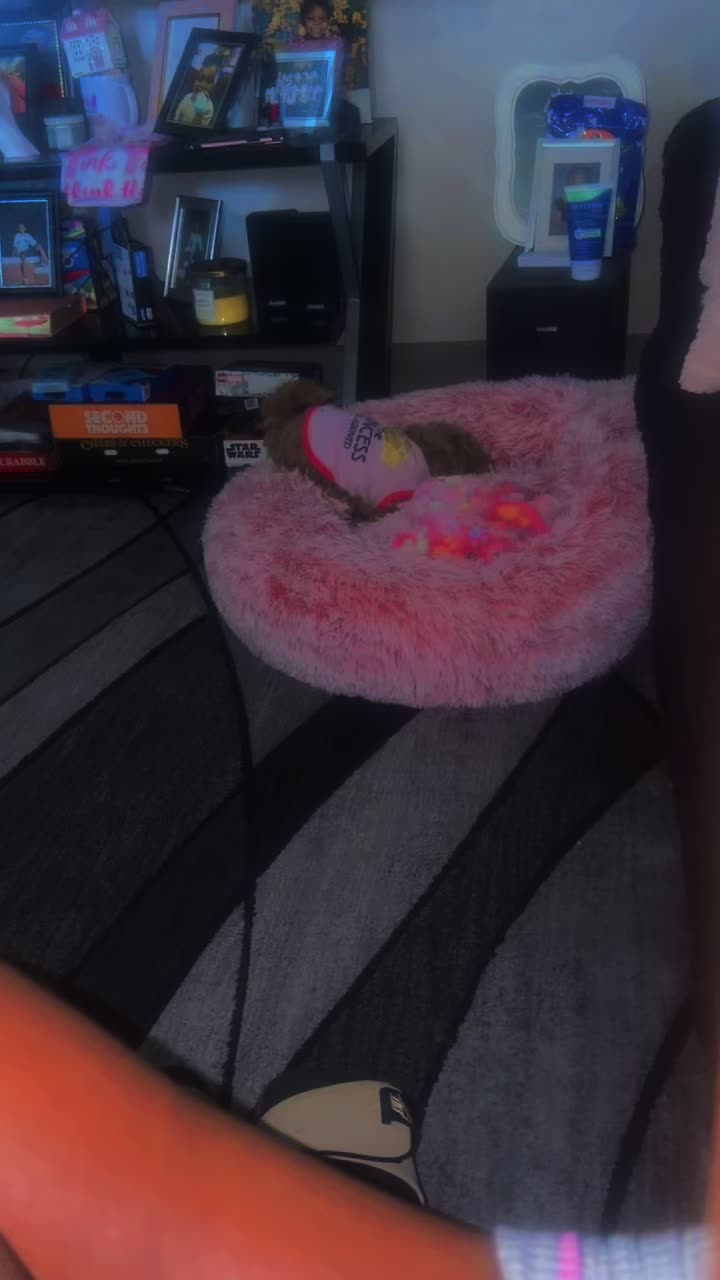 @Lil Gangsta