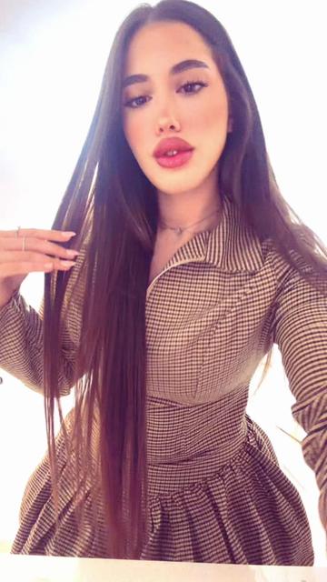 @shakedllavi