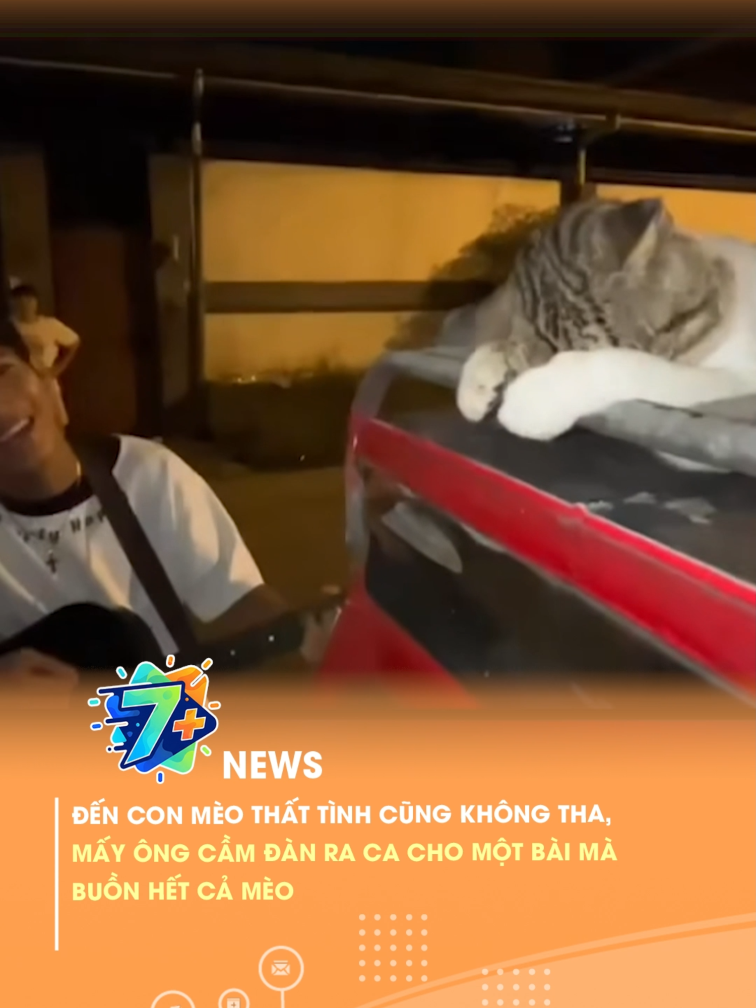 @7 Plus News