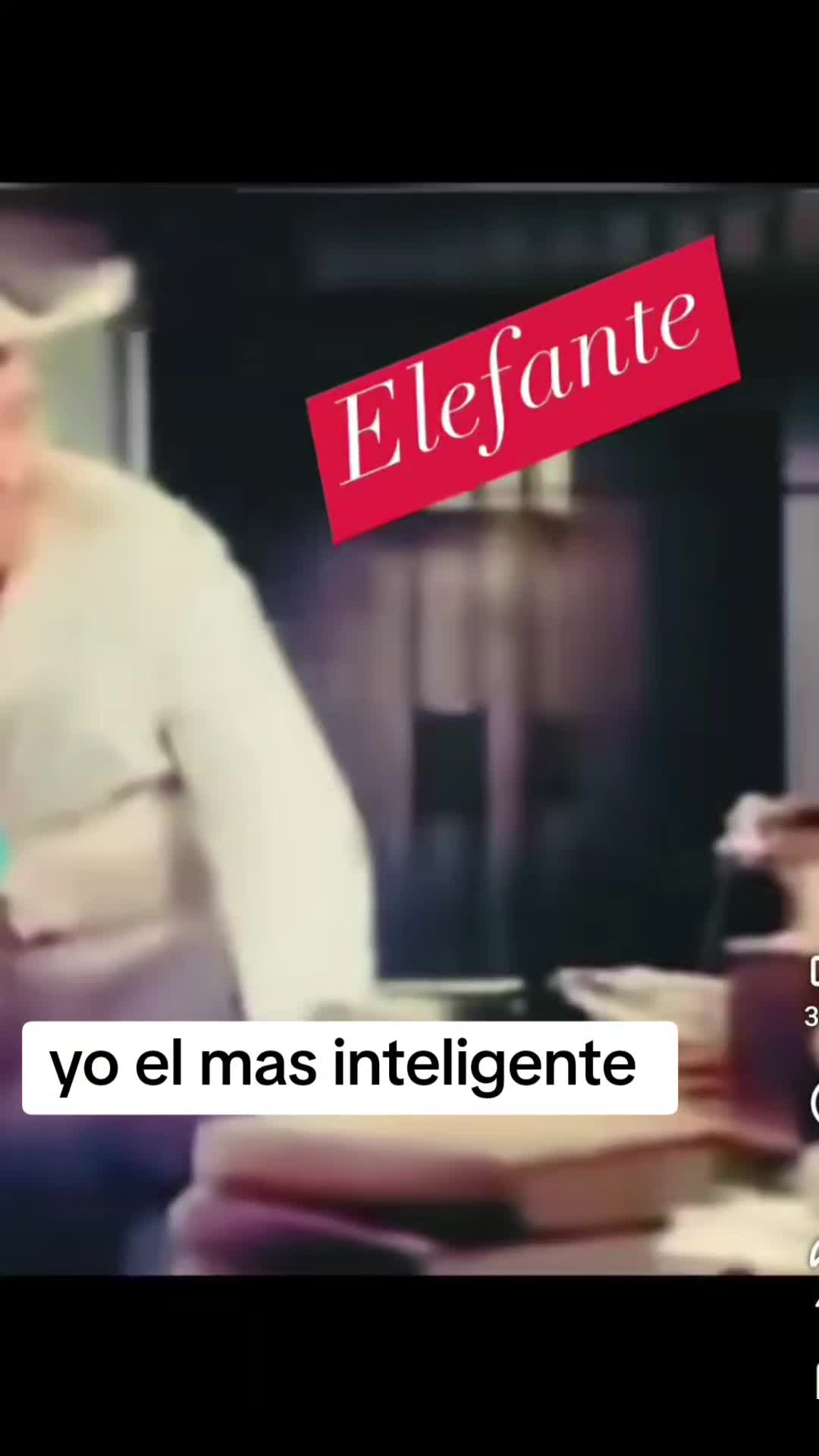 @G .. maldonado