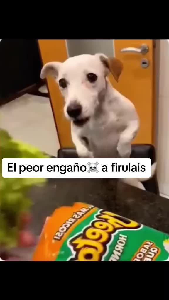 @Josseey
