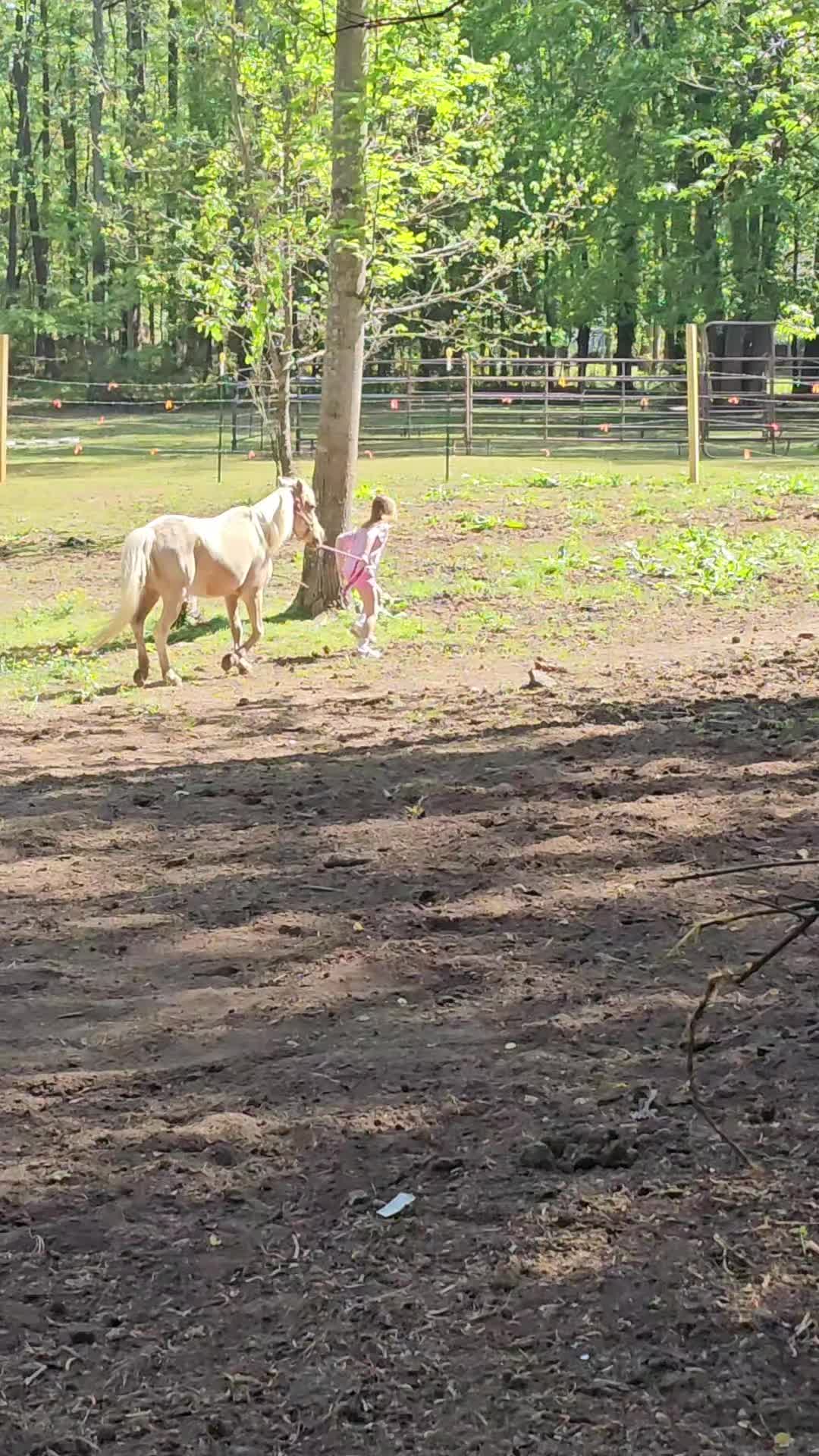 @southerncowgirl