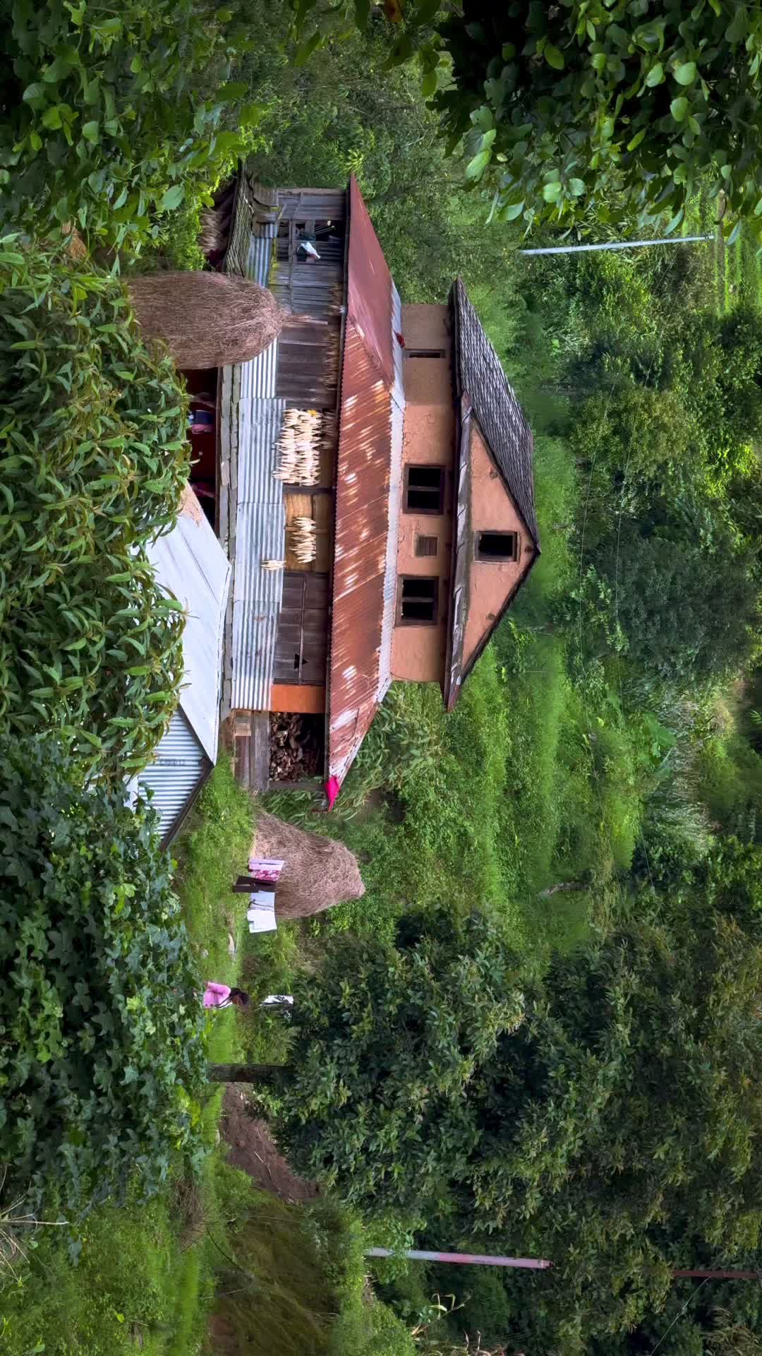 @Sudarshan Neupane